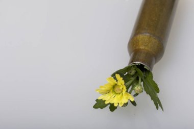 Çekim kol yüksek kalibreli makineli tüfek ve sarı kasımpatı çiçeği. Barış kurulması.