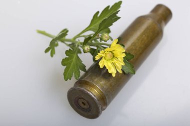 Çekim kol yüksek kalibreli makineli tüfek ve sarı kasımpatı çiçeği. Barış kurulması.