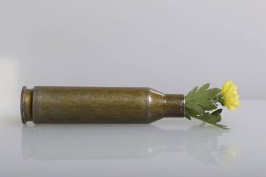 Çekim kol yüksek kalibreli makineli tüfek ve sarı kasımpatı çiçeği. Barış kurulması.