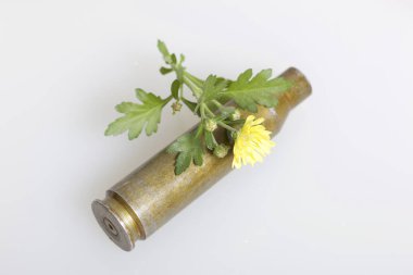 Çekim kol yüksek kalibreli makineli tüfek ve sarı kasımpatı çiçeği. Barış kurulması.