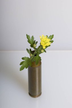 Çekim kol yüksek kalibreli makineli tüfek ve sarı kasımpatı çiçeği. Barış kurulması.