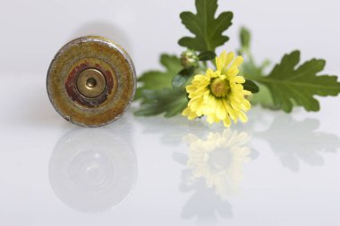 Çekim kol yüksek kalibreli makineli tüfek ve sarı kasımpatı çiçeği. Barış kurulması.