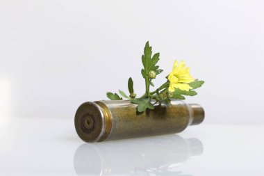 Çekim kol yüksek kalibreli makineli tüfek ve sarı kasımpatı çiçeği. Barış kurulması.