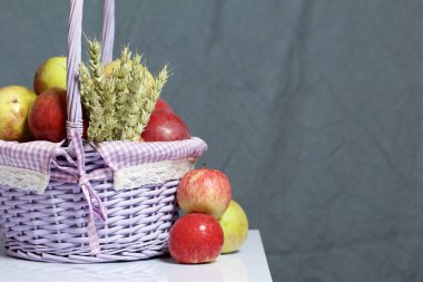 Elma sonbahar hasat. Bir hasır asma sepetten elma. Yakındaki spikelets tahıl. Gri bir arka plan üzerinde.