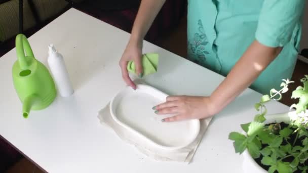 Una Chica Cuida Una Menta Que Crece Una Olla Pon — Vídeos de Stock