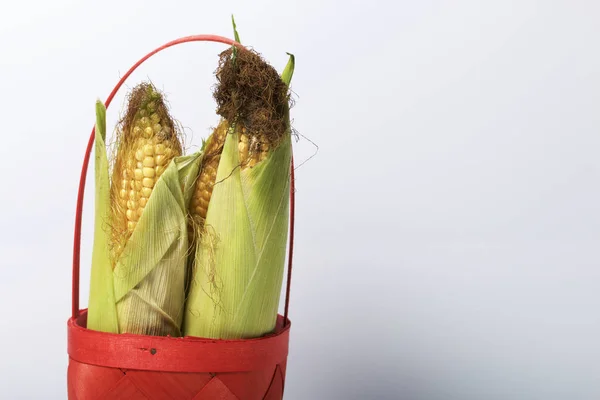 New Crop Corn Cobs Lie Wicker Basket White Background — Stock Photo, Image