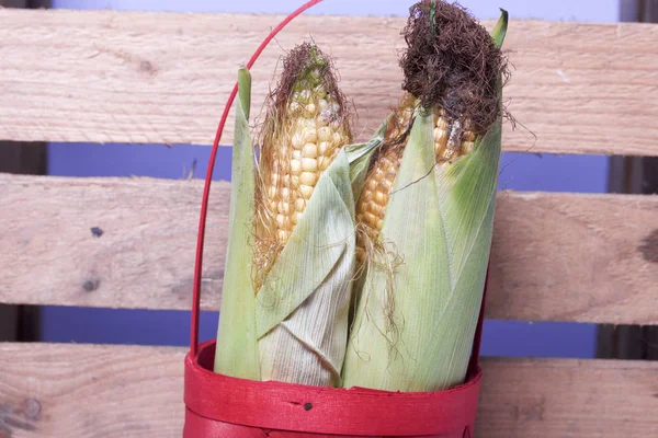 New Crop Corn Cobs Lie Wicker Basket Background Wooden Box — Stock Photo, Image