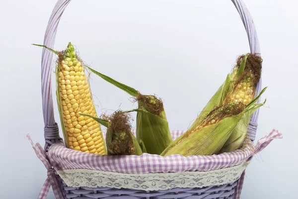 Новый Урожай Кукурузные Початки Лежат Плетеной Корзине Белом Фоне — стоковое фото