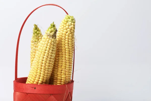Eine Neue Ernte Maiskolben Liegen Einem Weidenkorb Auf Weißem Hintergrund — Stockfoto