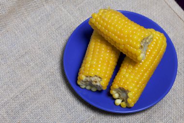 Haşlanmış mısır koçanı bir daire üzerinde yatıyor. Sivas'tan arka planı.