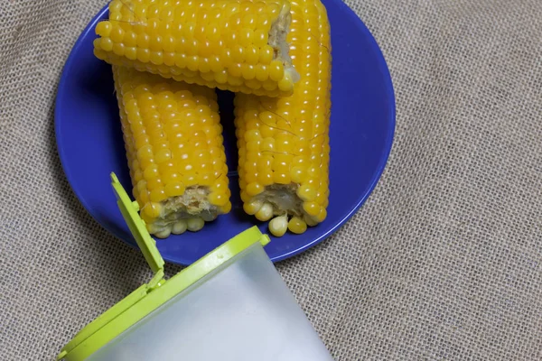 Sejumput Jagung Rebus Dan Garam Dalam Pengocok Garam Terhadap Latar — Stok Foto