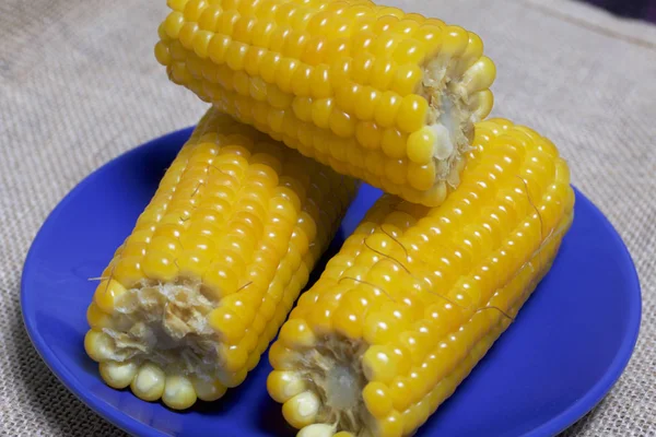 Коба Вареної Кукурудзи Лежить Блюдці Тлі Міцного — стокове фото