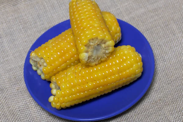Cob Boiled Corn Lies Saucer Background Sacking — Stock Photo, Image