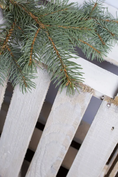 Blue Spruce Branches Wooden Box Boards Painted White — Stock Photo, Image