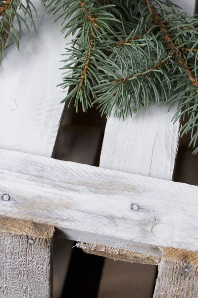 Blue Spruce Branches Wooden Box Boards Painted White — Stock Photo, Image