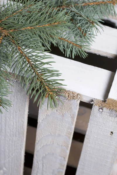 Blue Spruce Branches Wooden Box Boards Painted White — Stock Photo, Image