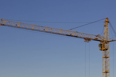 Sarı Mavi gökyüzü Vinçler.