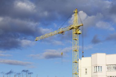 Sarı Mavi gökyüzü Vinçler.