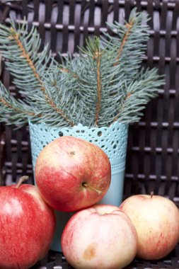 Mavi Ladin ve olgunlaşmış kokulu elma dalı. Hasır bir hasır sepet arka planı.