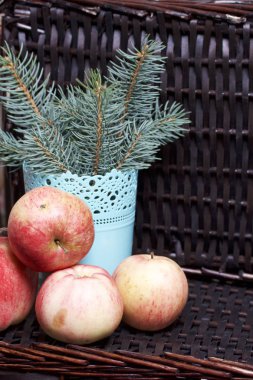 Mavi Ladin ve olgunlaşmış kokulu elma dalı. Hasır bir hasır sepet arka planı.