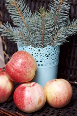 Mavi Ladin ve olgunlaşmış kokulu elma dalı. Hasır bir hasır sepet arka planı.