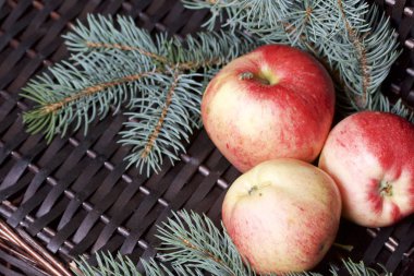 Mavi Ladin ve olgunlaşmış kokulu elma dalı. Bir hasır asma arka planı.