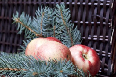 Mavi Ladin ve olgunlaşmış kokulu elma dalı. Bir hasır asma arka planı.