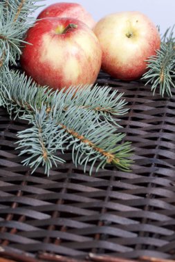 Mavi Ladin ve olgunlaşmış kokulu elma dalı. Bir hasır asma arka planı.