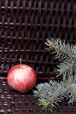 Mavi Ladin ve olgunlaşmış kokulu elma dalı. Bir hasır asma arka planı.