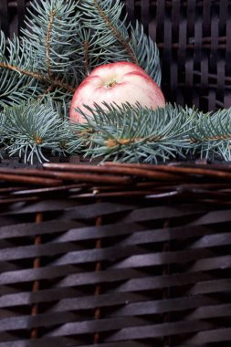 Mavi Ladin ve olgunlaşmış kokulu elma dalı. Bir hasır asma arka planı.