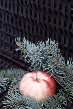 Mavi Ladin ve olgunlaşmış kokulu elma dalı. Bir hasır asma arka planı.