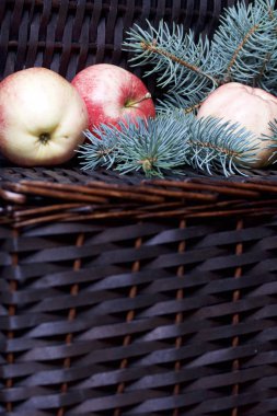 Mavi Ladin ve olgunlaşmış kokulu elma dalı. Bir hasır asma arka planı.