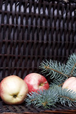 Mavi Ladin ve olgunlaşmış kokulu elma dalı. Bir hasır asma arka planı.