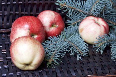Mavi Ladin ve olgunlaşmış kokulu elma dalı. Bir hasır asma arka planı.