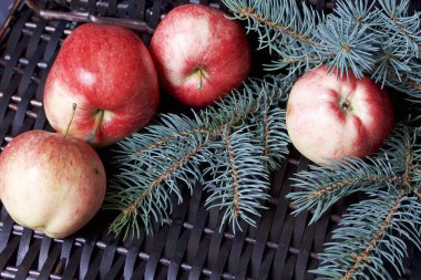 Mavi Ladin ve olgunlaşmış kokulu elma dalı. Bir hasır asma arka planı.
