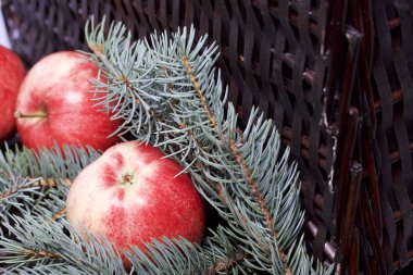Mavi Ladin ve olgunlaşmış kokulu elma dalı. Bir hasır asma arka planı.