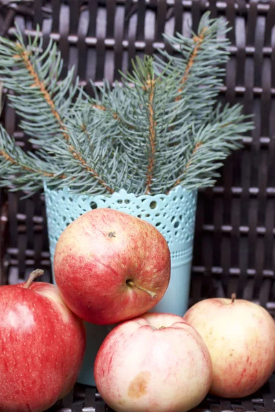 Mavi Ladin ve olgunlaşmış kokulu elma dalı. Hasır bir hasır sepet arka planı.