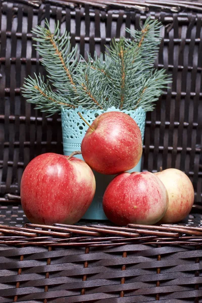 Oddziałów Świerk Kłujący Dojrzałe Jabłka Pachnące Tle Wiklinowy Kosz Wikliny — Zdjęcie stockowe