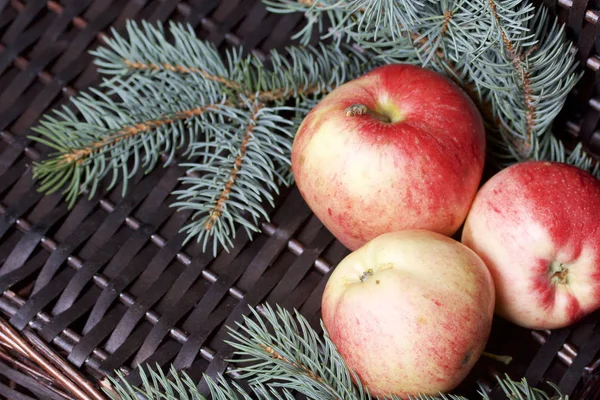 Mavi Ladin ve olgunlaşmış kokulu elma dalı. Bir hasır asma arka planı.
