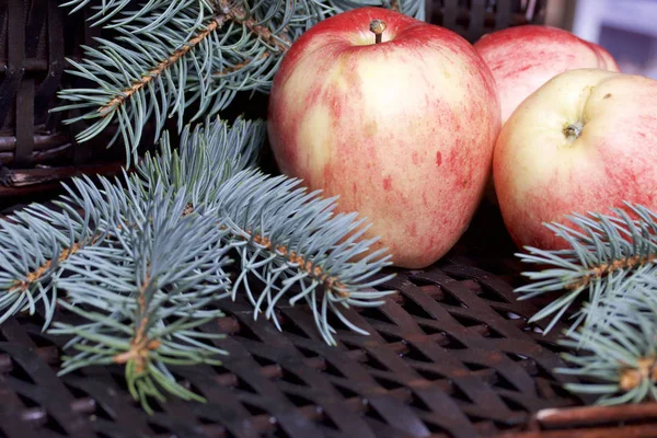 Zweige Von Blaufichten Und Reifen Duftenden Äpfeln Vor Dem Hintergrund — Stockfoto