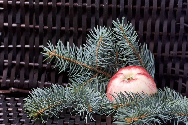 Oddziały Świerk Kłujący Dojrzałe Jabłka Pachnące Tle Winorośli Wiklina — Zdjęcie stockowe