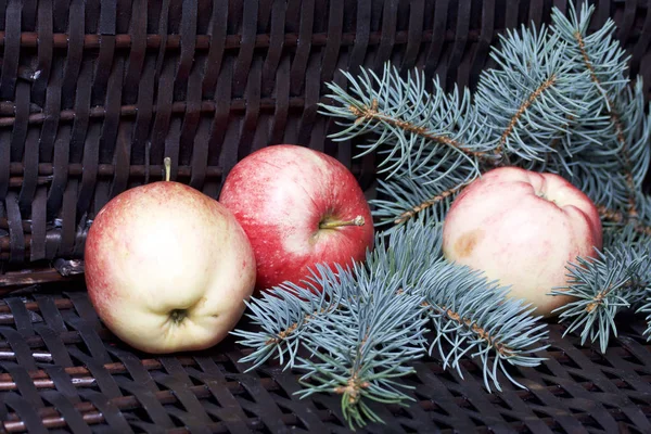 Mavi Ladin ve olgunlaşmış kokulu elma dalı. Bir hasır asma arka planı.