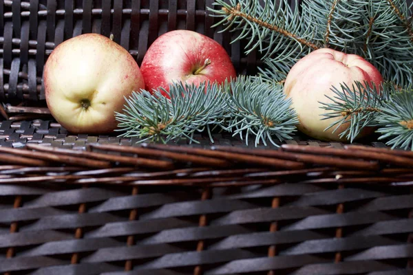 Mavi Ladin ve olgunlaşmış kokulu elma dalı. Bir hasır asma arka planı.