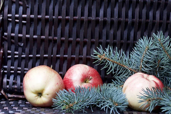 Mavi Ladin ve olgunlaşmış kokulu elma dalı. Bir hasır asma arka planı.
