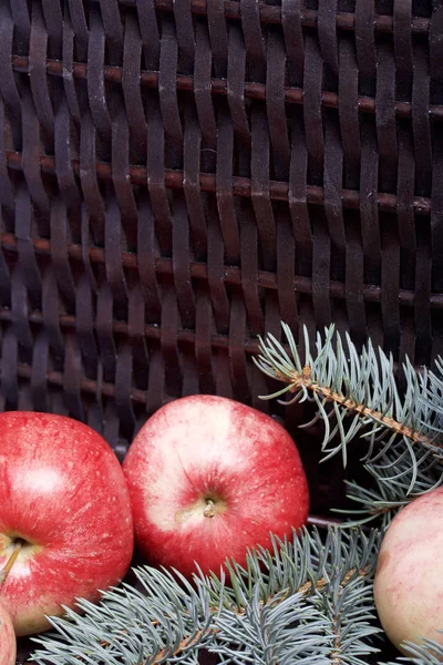 Mavi Ladin ve olgunlaşmış kokulu elma dalı. Bir hasır asma arka planı.