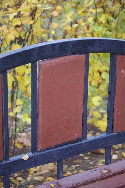 秋天的美丽 一个老式公园长凳附近的黄叶 — 图库照片
