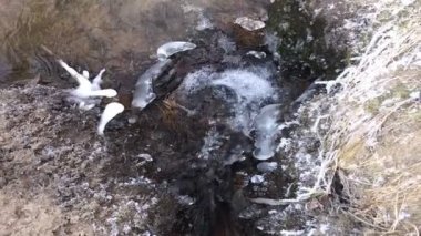 Şehitler arasında çalışan creek hoarfrost ile kapalı bırakır. Nehre düşüyor. Sonbahar frosts.