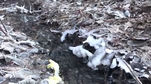 溪流在落叶间奔流 上面覆盖着白霜 — 图库视频影像