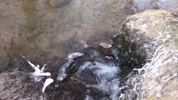 溪边的落叶覆盖着白霜 掉进河里 秋天的霜冻 — 图库视频影像