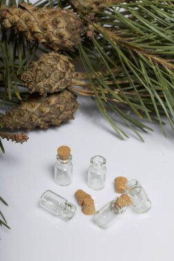 Mantarlar ile cam şişe. Boncuk için. Beyaz bir arka plan üzerinde koniler ile çam dalları arasında yer alan.